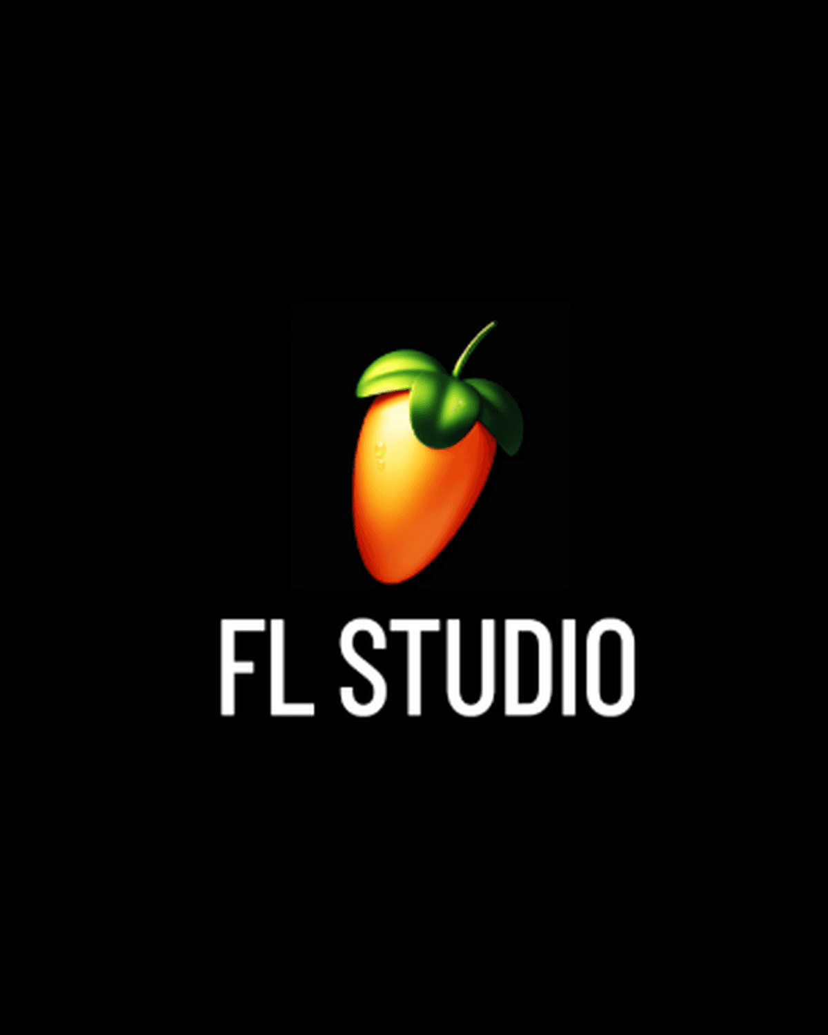 FL Studio session